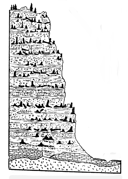 . 1.    ,              (. ) 