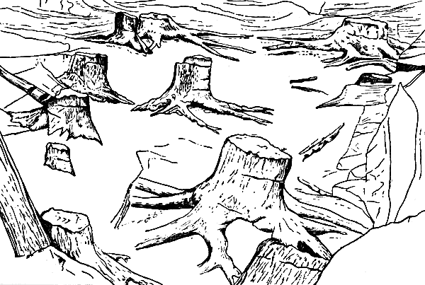 . 2.              .  .  ()