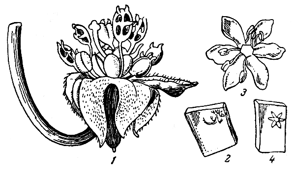 . 17.   . 1     (); 2       ; 3    (); 4      