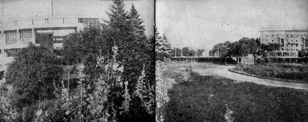     . --.           .  -       