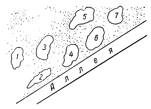  . 5.       : 1    (); 2   ( ), 3   ( -); 4   ( ); 5    ( -); 6    ( -); 7    ( -)
