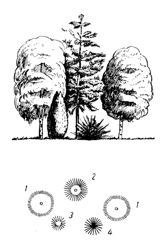 . 19.   : 1   ; 2   ; 3   ; 4   