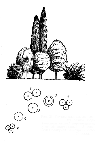 . 21.       : 1    ; 2    ; 3   ; 4    ; 5   ; 6    