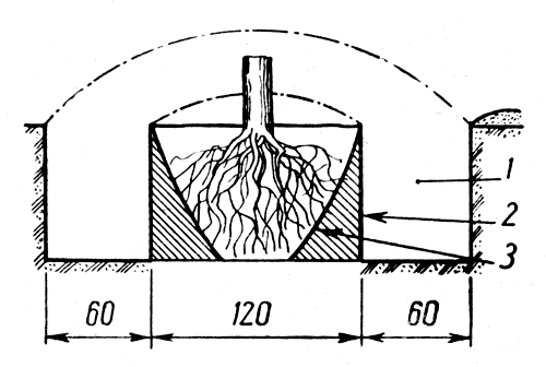 . 26.     : 1   ; 2    (); 3    