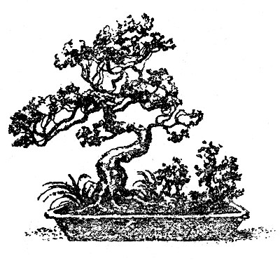 ���������� �������