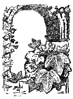 ��������, �������� �� �����