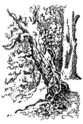 ���� � ����