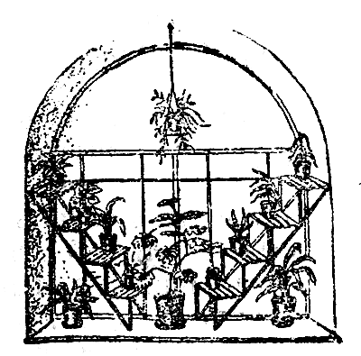 ������� ��� �������� ����