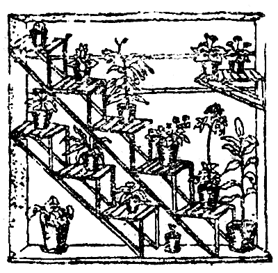 ������� ��� �������� ����