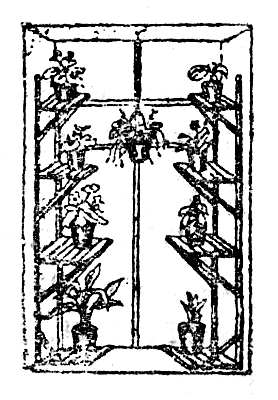 ������� ��� ������ ����