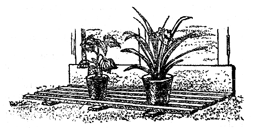 ���������, �������������� ������ � ���������� �� ����������