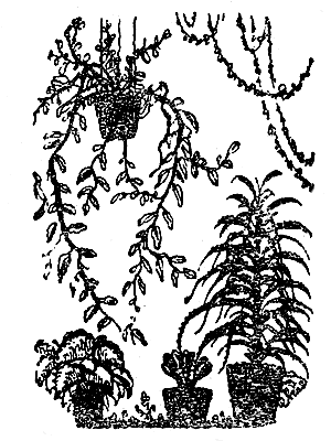 ��� ��������� �� �������� �����