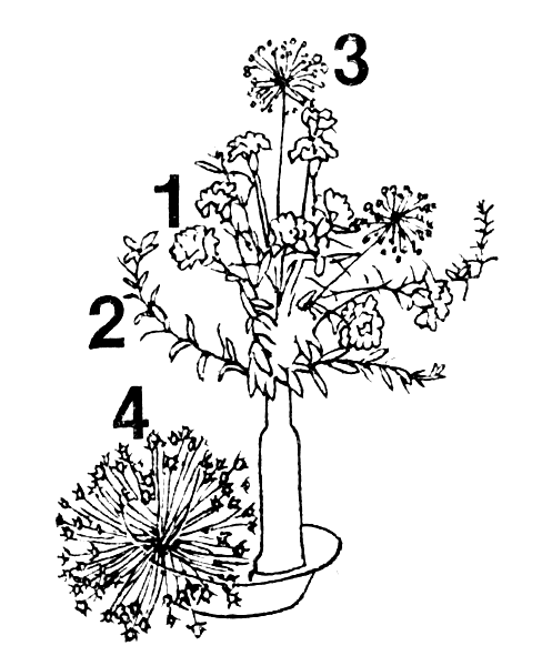 ���������� � ������� ����������: 1 � ������������ ��������; 2 � ������; 3 � ������������ ���; 4 � ���������� ���