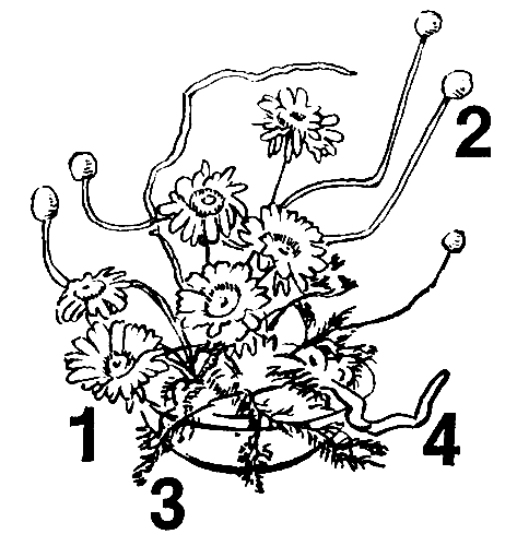 ���������� � ������� ���������: 1 � �������; 2 � ������ ��������; 3 � �������� ���������; 4 � ����� �����