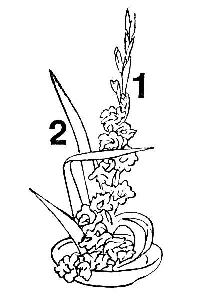 ����� � ������� ���������: 1 � ����������; 2 � �� ������