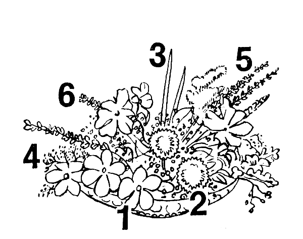 ���������� � ������� ��������: 1 � ����; 2 � ������ ������; 3 � ������ ���������; 4 � ��� ����; 5 � �����