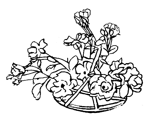 ��������-����������� ���� � �������� ���������� � ��������