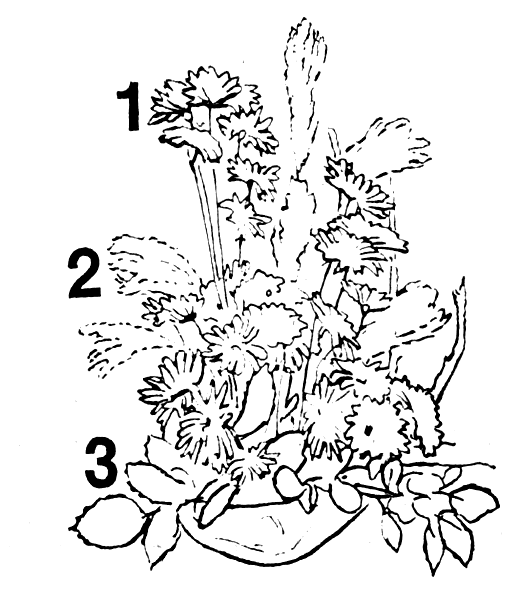 ���������� � ������� �������� ��������: 1 � ���������� ��������������; 2 � ���������; 3 - ������ �������