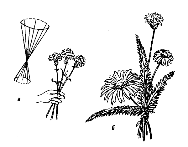 ������: � � �������; � � �������� ���������