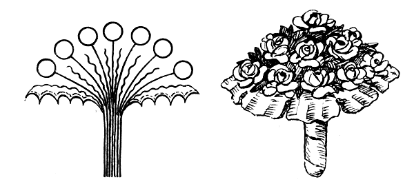 ����� � ����� ����������