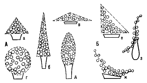 ����� ��������� �����������: � � ������������; � � �������������; �, �, � � �����������; � � ����; � � ����; � � ����� ����������� ��� ������ �����; � � ���������; � � ����� �������