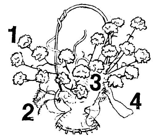 ������� � ������� � �����������: 1 � �������� ������������; 2 � ��������� ���������; 3 � ������ ���������; 4 � ��������, ����������� �� ������������ ������������� ����