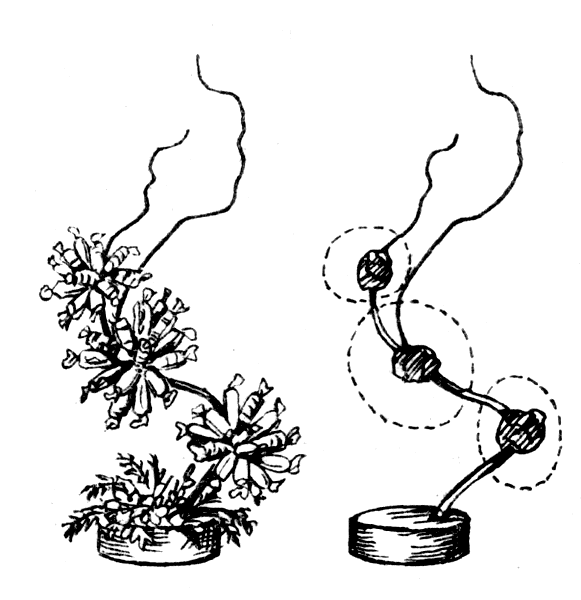 ������� ����� � �������� ������