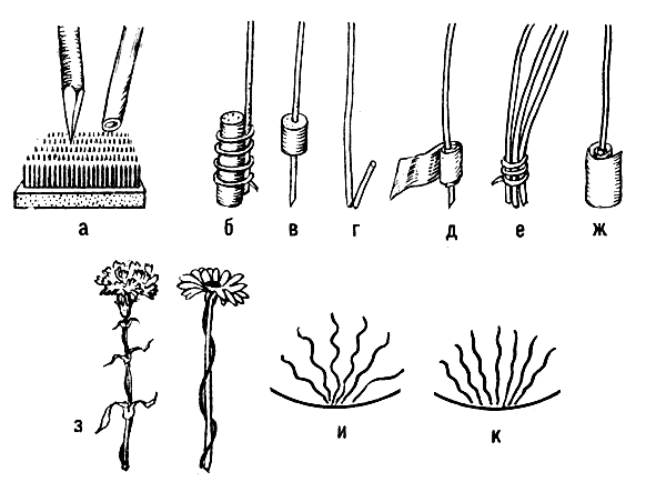 ��������� ������, �����, ������ � ������� ������� ����� ����������� � �������: � � ����� ���� �����, ������ ���� ������������ ������; � � ������������ ������� ������ � ����� ��������; � � ����������� ������ ��� ������ ������; � � ������ ����� ������; � � ����������� ����� ������ ������ ������; � � ������ ������, ��������� � �����; � � ����������� ����� ������ �������� ������; � � ���������� ���������� ������� ��������, �������; � � ���������� ����������� (������ ������� �� ����� �����); � � ������������ �����������