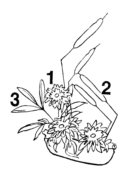 ���������� � ������� ��������: 1 � ��������; 2 � �����; 3 � ������ �����