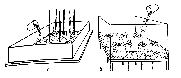 ����� ������ �������� �����������: � - � ����� ����� ���������; � � ��������