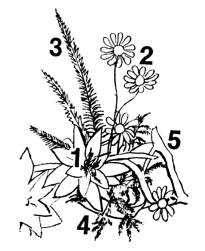 ����������� � ������� �� ����� �������������: 1 � ����� �� ����� �� �������� ������; 2 � ����� �� ������� ����� �� ������� ��������; 3 � ������ ����������� (��������������); 4 � �������� (��������); 5 � ����� �����