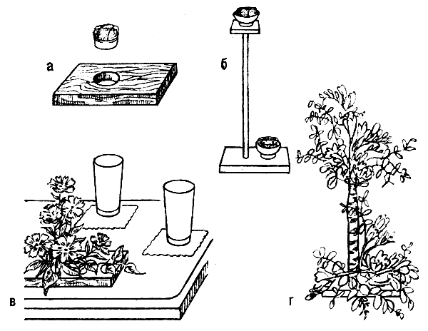 ����-��������� ��� ������: � � ����� ���� ��� ����� � ������� ��� ������� ������� � ������� �� �����������; � � ��������� � ����������� � ���� ����������; �, � � ������� ������