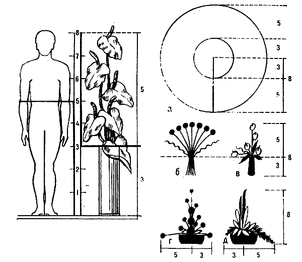 ��������� (3, 5 � 8 ������) �� ��������� ��������: � � ��� ������; �, � � ��� �������; � � ��� ���������� � ������� �����; � � ��� ��������� ������ � �������