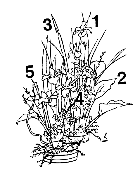 ���������� � ������ ���������: 1 - ����; 2 - ������ ������; 3 - ������ ���������; 4 - ��� ����; 5 - �����