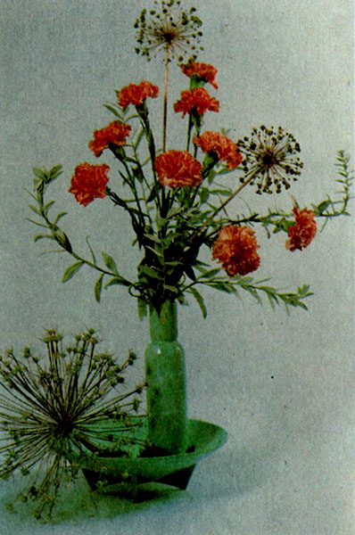 ���������� ������������ ��������, ������������ ���� �� ���������� (����� ���������, ���������) � ������������ ����