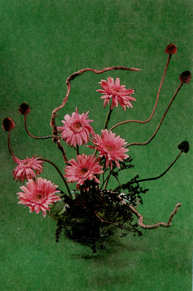 ��������� ������� � ������ �������� �������� � ������� �� ������� � ���������� ����