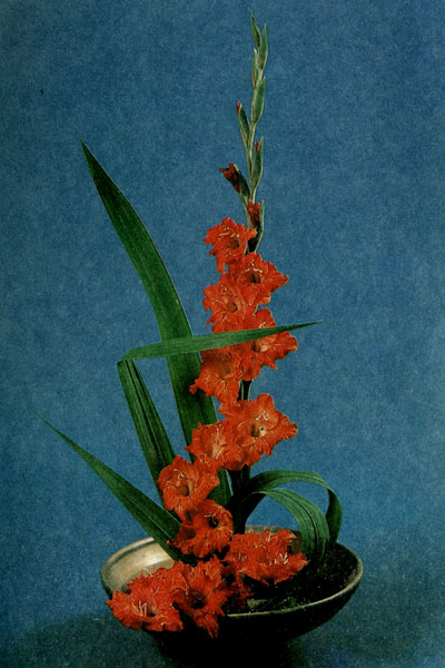 ��������� ���������� (�������� � ������) �� ������� � ������������ ����