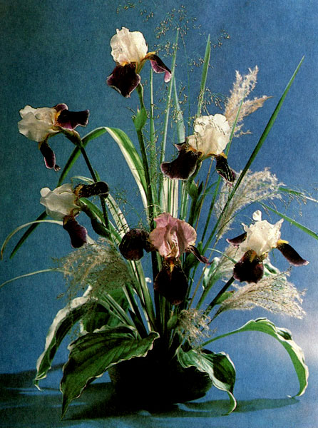 ����������� �������� ���� �����, ������ ������ � ������������ ����