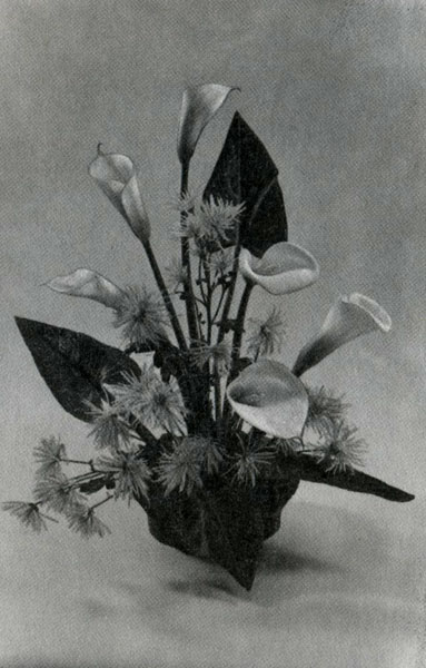 �����, ���������� �� ������� � ������������ ����