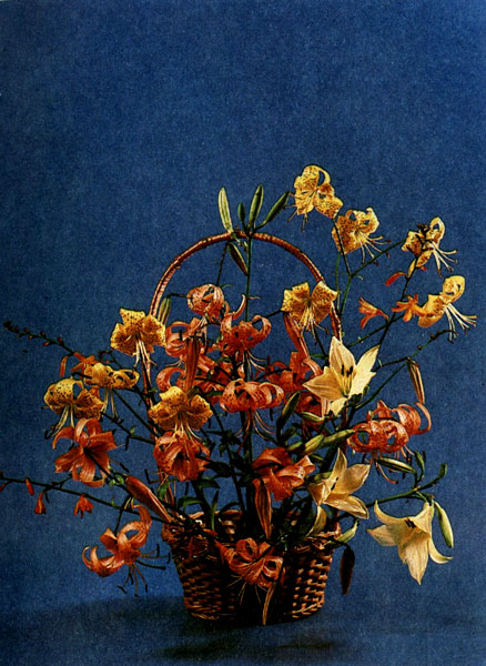 �����, �������� �� ��������� (�������, ����� ���������) � �������� �������