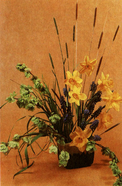 ������� � ������ ��������� ��������, �������, ������� ���� � ������������ ���� � ����������