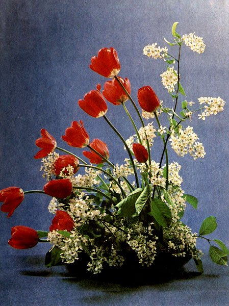 ��������� ������ ��������, ������� �������� �� ���������� (�������, ������) � ������������ �����