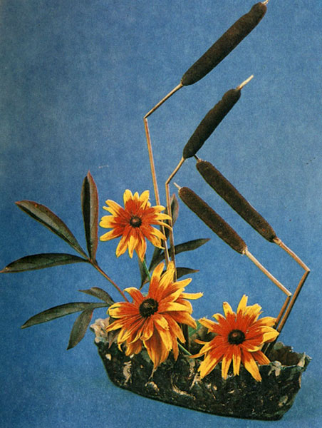 �������� ��������, ����� �� ������� � ������������ ����