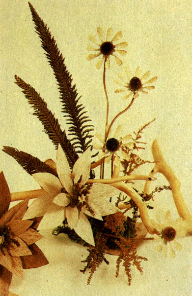 �� ����� ������������� �������������� ����� �� ����� ������