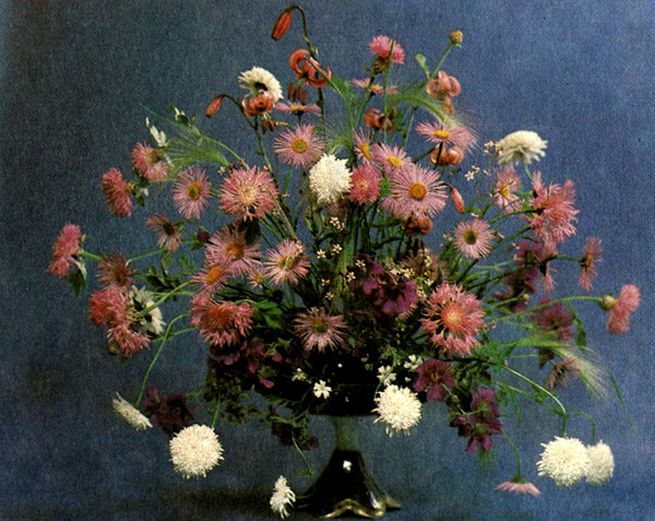 �������� ������� ��������� ��������������, ��������, �������� ��������, ��������� �� ������� � ����� ��������� � ���������� ��������