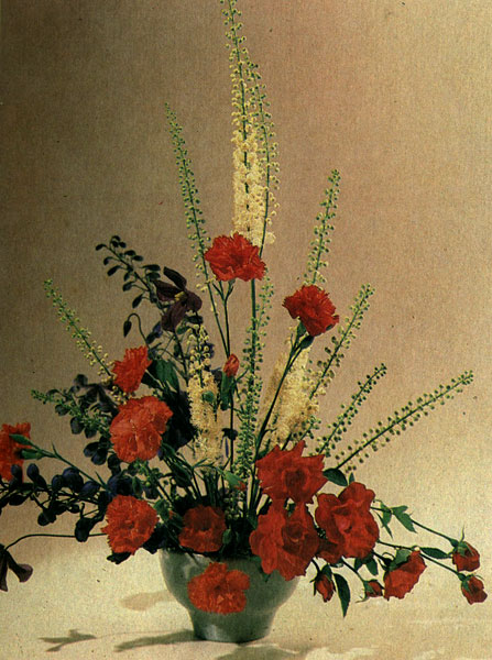 ����������� ����, ������� ��������, ����������, ���������� �� ������������� ������� � ������������ ����