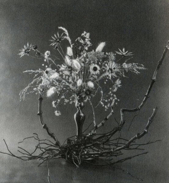 ������� �������� ����� �����, ����� �� �����������