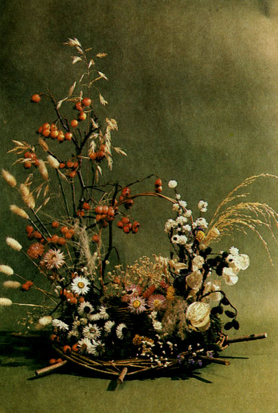 ����� �����, �����, ����� �� �������� ���������