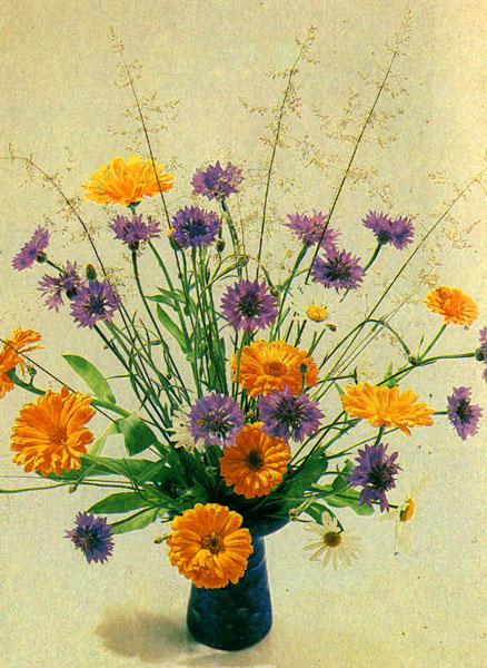 ������������ �������� ������� � �������� � ������������ ����