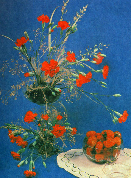 ������� ������� ��������, �����, ��������� �� ������� � ���������� ���� �� ����� � �����